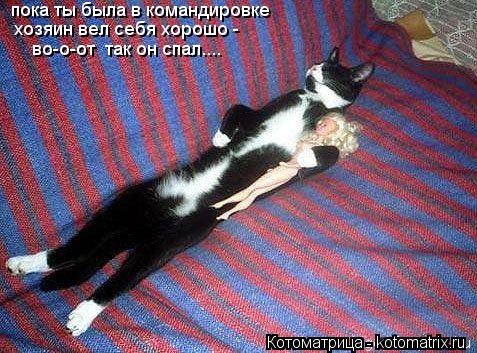 Котоматрица: пока ты была в командировке хозяин вел себя хорошо -  во-о-от  так он спал....