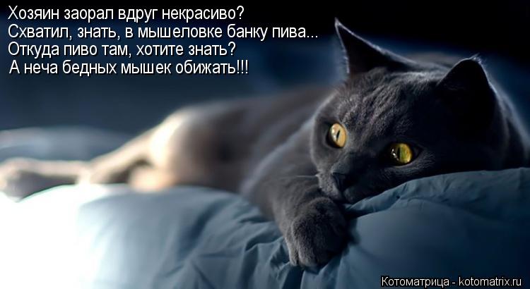 Хозяин заорал вдруг некрасиво? Схватил, знать, в мышеловке банку пива... Откуда пиво там, хотите знат... Котоматрица: Хозяин заорал вдруг некрасиво? Схватил, знать, в мышеловке банку пива... Откуда пиво там, хотите знать? А неча бедных мышек обижать!!!