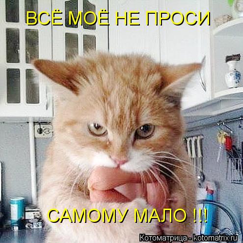 ВСЁ МОЁ НЕ ПРОСИ САМОМУ МАЛО !!!... Котоматрица: ВСЁ МОЁ НЕ ПРОСИ САМОМУ МАЛО !!!