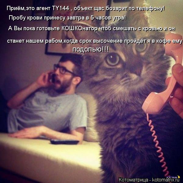 Приём,это агент TY144 , объект щас бозарит по телефону! Пробу крови принесу завтра в 5 часов утра! А ... Котоматрица: Приём,это агент TY144 , объект щас бозарит по телефону! Пробу крови принесу завтра в 5 часов утра! А Вы пока готовьте КОШКОнатор чтоб смешать с к