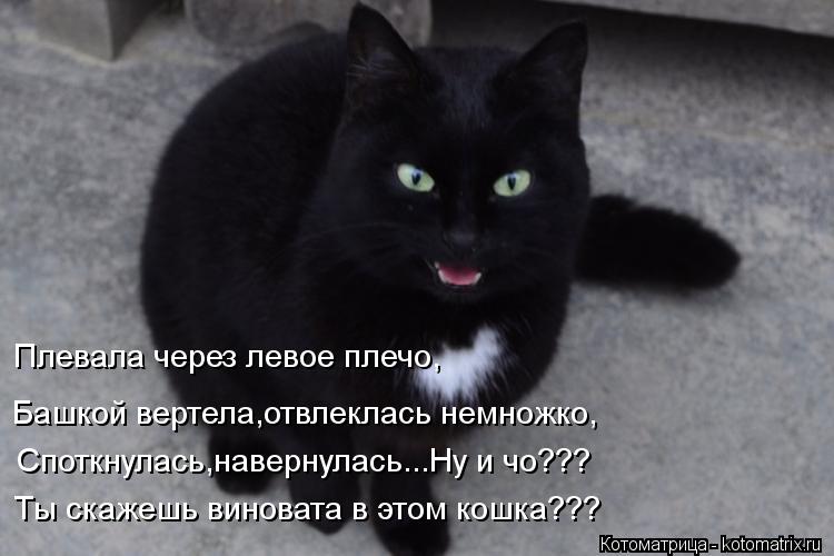 Плевала через левое плечо, Башкой вертела,отвлеклась немножко, Споткнулась,навернулась...Ну и чо??? Т... Котоматрица: Плевала через левое плечо, Башкой вертела,отвлеклась немножко, Споткнулась,навернулась...Ну и чо??? Ты скажешь виновата в этом кошка???