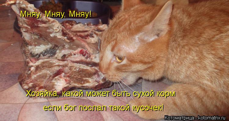Котоматрица: Мняу, Мняу, Мняу! Хозяйка, какой может быть сухой корм если бог послал такой кусочек!