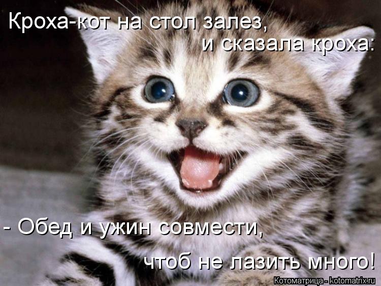 Кроха-кот на стол залез, и сказала кроха: - Обед и ужин совмести, чтоб не лазить много!... Котоматрица: Кроха-кот на стол залез, и сказала кроха: - Обед и ужин совмести, чтоб не лазить много!