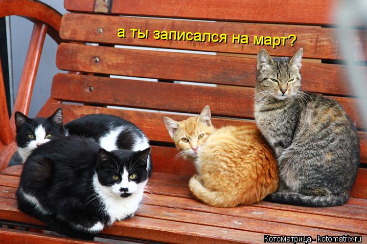а ты записался на март?... Котоматрица: а ты записался на март?