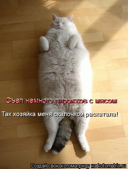 Съел немного пирожков с мясом Съел немного пирожков с мясом Съел немного пирожков с мясом Так хозяйка... Котоматрица: Съел немного пирожков с мясом Съел немного пирожков с мясом Съел немного пирожков с мясом Так хозяйка меня скалочкой раскатала!