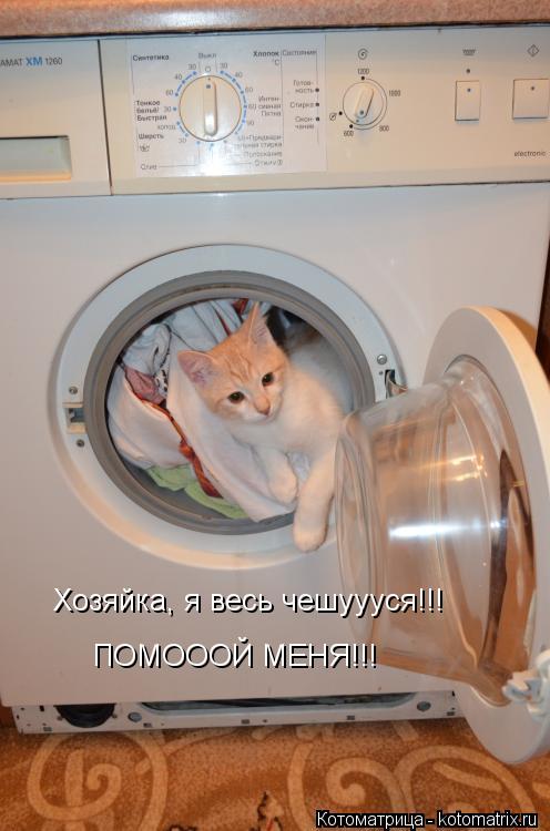 Хозяйка, я весь чешуууся!!! ПОМОООЙ МЕНЯ!!!... Котоматрица: Хозяйка, я весь чешуууся!!! ПОМОООЙ МЕНЯ!!!