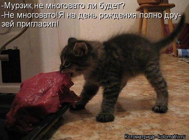 -Мурзик,не многовато ли будет? -Не многовато!Я на день рождения полно дру- зей пригласил!... Котоматрица: -Мурзик,не многовато ли будет? -Не многовато!Я на день рождения полно дру- зей пригласил!