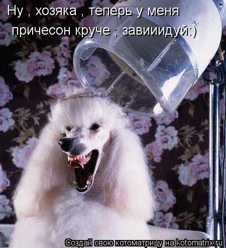 Ну , хозяка , теперь у меня причесон круче , завииидуй:)... Котоматрица: Ну , хозяка , теперь у меня причесон круче , завииидуй:)