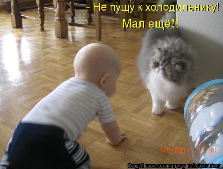 - Не пущу к холодильнику! Мал ещё!!... Котоматрица: - Не пущу к холодильнику! Мал ещё!!