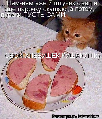 ...Ням-ням,уже 7 штучек съел и ещё парочку скушаю ,а потом, дураки,ПУСТЬ САМИ СВОЙ ХЛЕБУШЕК КУШАЮТ!!... Котоматрица: ...Ням-ням,уже 7 штучек съел и ещё парочку скушаю ,а потом, дураки,ПУСТЬ САМИ СВОЙ ХЛЕБУШЕК КУШАЮТ!!!:)