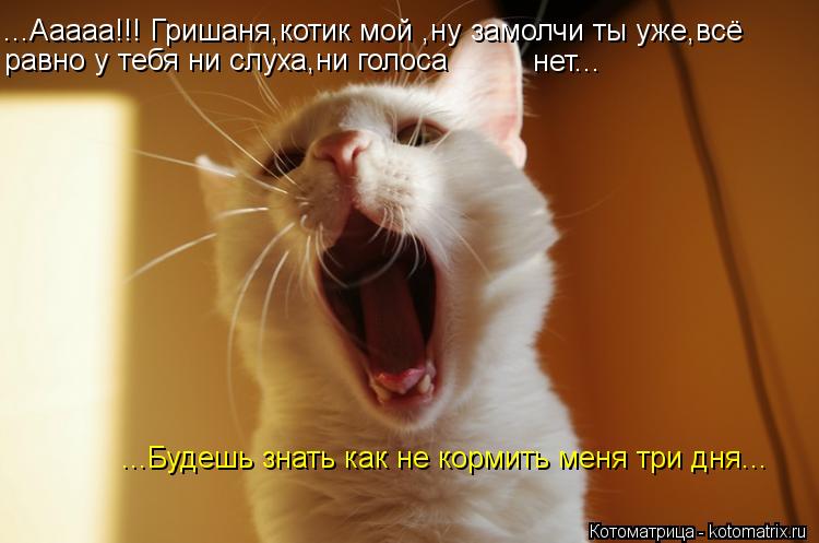 ...Ааааа!!! Гришаня,котик мой ,ну замолчи ты уже,всё равно у тебя ни слуха,ни голоса нет... ...Будеш... Котоматрица: ...Ааааа!!! Гришаня,котик мой ,ну замолчи ты уже,всё равно у тебя ни слуха,ни голоса нет... ...Будешь знать как не кормить меня три дня...