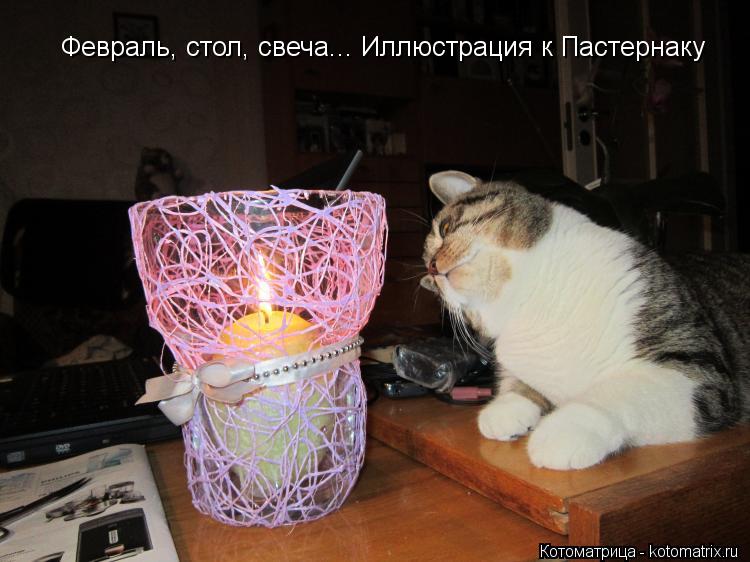 Котоматрица: Февраль, стол, свеча... Иллюстрация к Пастернаку