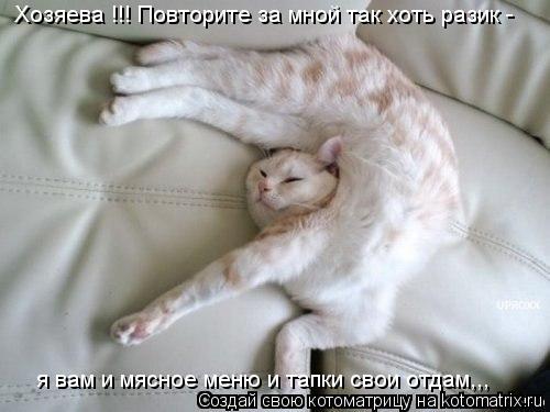 Хозяева !!! Повторите за мной так хоть разик - я вам и мясное меню и тапки свои отдам,,,... Котоматрица: Хозяева !!! Повторите за мной так хоть разик - я вам и мясное меню и тапки свои отдам,,,