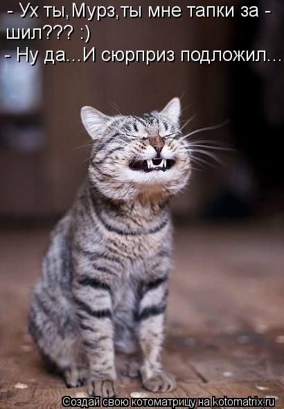 - Ух ты,Мурз,ты мне тапки за - шил??? :) - Ну да...И сюрприз подложил...... Котоматрица: - Ух ты,Мурз,ты мне тапки за - шил??? :) - Ну да...И сюрприз подложил...