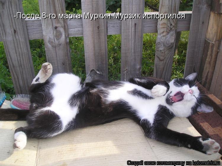 -После 8-го марта Муркин Мурзик испортился... Котоматрица: -После 8-го марта Муркин Мурзик испортился
