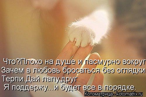 Что?Плохо на душе и пасмурно вокруг Зачем в любовь бросаться без оглядки Терпи.Дай лапу,друг Я подде... Котоматрица: Что?Плохо на душе и пасмурно вокруг Зачем в любовь бросаться без оглядки Терпи.Дай лапу,друг Я поддержу...и будет все в порядке.