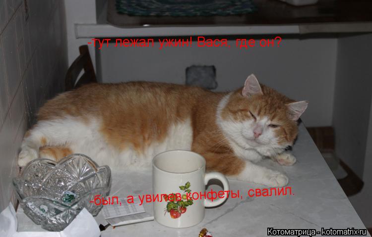 -тут лежал ужин! Вася, где он? -был, а увилев конфеты, свалил.... Котоматрица: -тут лежал ужин! Вася, где он? -был, а увилев конфеты, свалил.