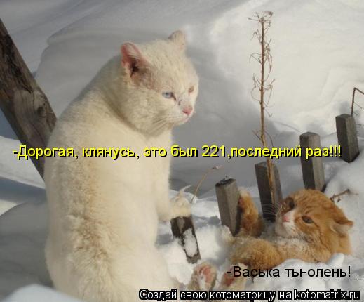 -Дорогая, клянусь, это был 221,последний раз!!! -Васька ты-олень!... Котоматрица: -Дорогая, клянусь, это был 221,последний раз!!! -Васька ты-олень!