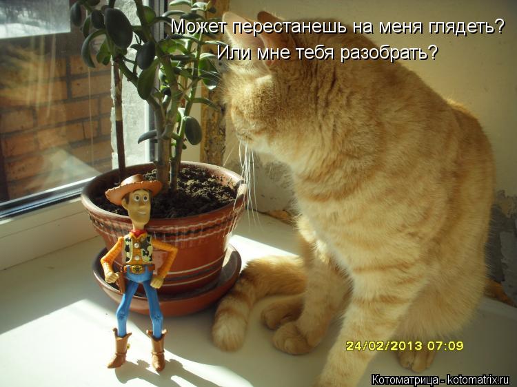 Может перестанешь на меня глядеть? Или мне тебя разобрать?... Котоматрица: Может перестанешь на меня глядеть? Или мне тебя разобрать?
