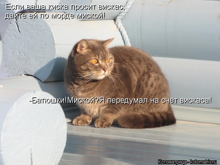 Котоматрица: Если ваша киска просит вискас, дайте ей по морде миской! -Батюшки!Миской?Я передумал на счёт вискаса!
