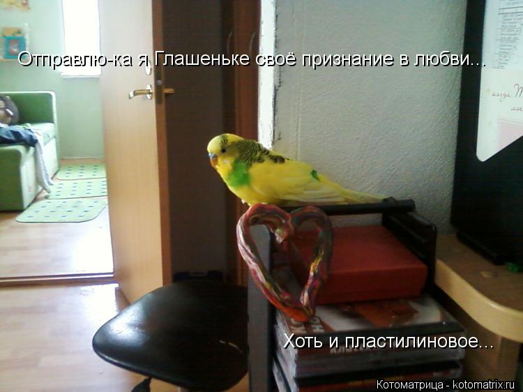 Котоматрица: Отправлю-ка я Глашеньке своё признание в любви... Хоть и пластилиновое...