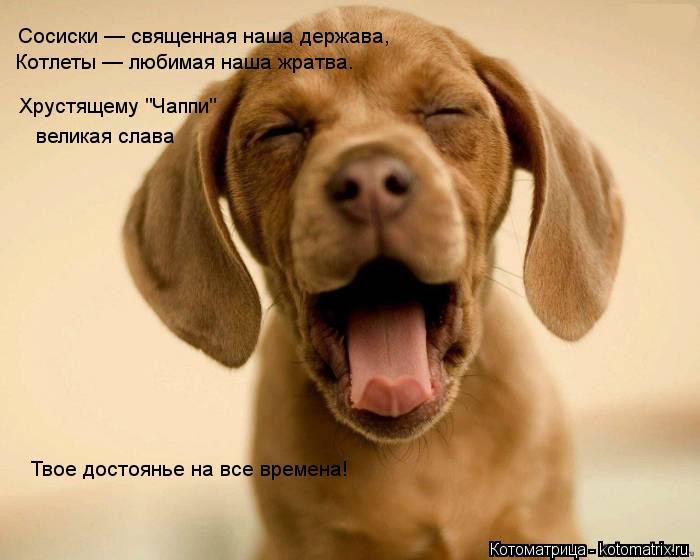 Котоматрица: Сосиски — священная наша держава,   Котлеты — любимая наша жратва.  Хрустящему "Чаппи"  великая слава  Твое достоянье на все времена!