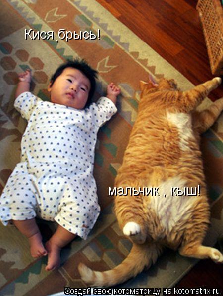 Кися брысь! мальчик , кыш! ,... Котоматрица: Кися брысь! мальчик , кыш! ,