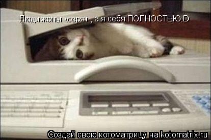 Люди жопы ксерят , а я себя ПОЛНОСТЬЮ:D... Котоматрица: Люди жопы ксерят , а я себя ПОЛНОСТЬЮ:D