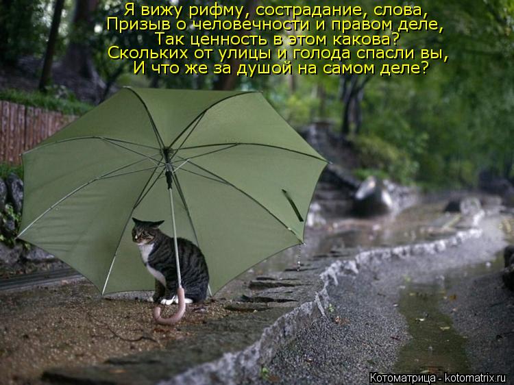Я вижу рифму, сострадание, слова, Призыв о человечности и правом деле, Так ценность в этом какова? ... Котоматрица: Я вижу рифму, сострадание, слова, Призыв о человечности и правом деле, Так ценность в этом какова? И что же за душой на самом деле? Скольких о