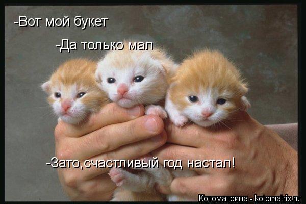 -Вот мой букет -Да только мал -Зато,счастливый год настал!... Котоматрица: -Вот мой букет -Да только мал -Зато,счастливый год настал!