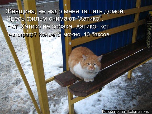 Женщина, не надо меня тащить домой. Нет, Хатико не собака, Хатико- кот Автограф? Конечно, можно, 10 б... Котоматрица: Женщина, не надо меня тащить домой. Нет, Хатико не собака, Хатико- кот Автограф? Конечно, можно, 10 баксов. Здесь фильм снимают "Хатико".