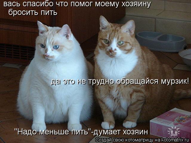 "Надо меньше пить"-думает хозяин вась спасибо что помог моему хозяину бросить пить да это не трудно о... Котоматрица: "Надо меньше пить"-думает хозяин вась спасибо что помог моему хозяину бросить пить да это не трудно обращайся мурзик!