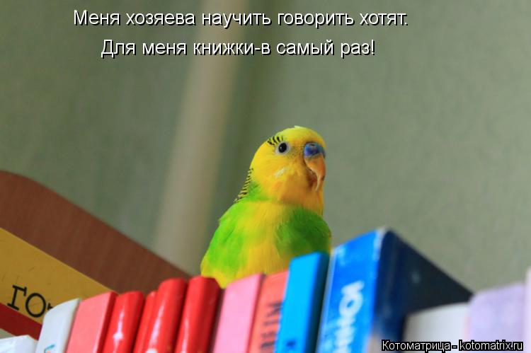 Меня хозяева научить говорить хотят. Для меня книжки-в самый раз!... Котоматрица: Меня хозяева научить говорить хотят. Для меня книжки-в самый раз!