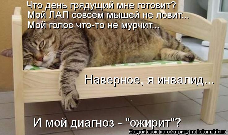 Что день грядущий мне готовит? Мой ЛАП совсем мышей не ловит... Мой голос что-то не мурчит... Наверно... Котоматрица: Что день грядущий мне готовит? Мой ЛАП совсем мышей не ловит... Мой голос что-то не мурчит... Наверное, я инвалид... И мой диагноз - "ожирит"?