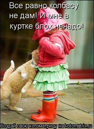 Все равно колбасу не дам! И мне в куртке блох ненадо!... Котоматрица: Все равно колбасу не дам! И мне в куртке блох ненадо!