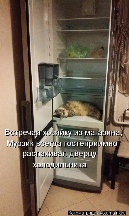 Встречая хозяйку из магазина, Мурзик всегда гостеприимно распахивал дверцу холодильника... Котоматрица: Встречая хозяйку из магазина, Мурзик всегда гостеприимно распахивал дверцу холодильника