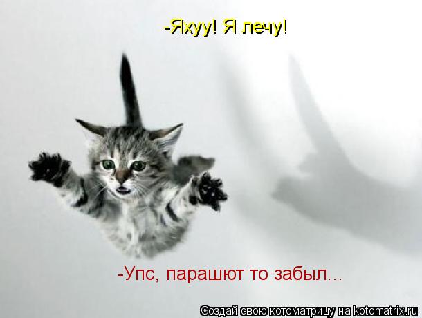 -Упс, парашют то забыл... -Яхуу! Я лечу! -Яхуу! Я лечу!... Котоматрица: -Упс, парашют то забыл... -Яхуу! Я лечу! -Яхуу! Я лечу!