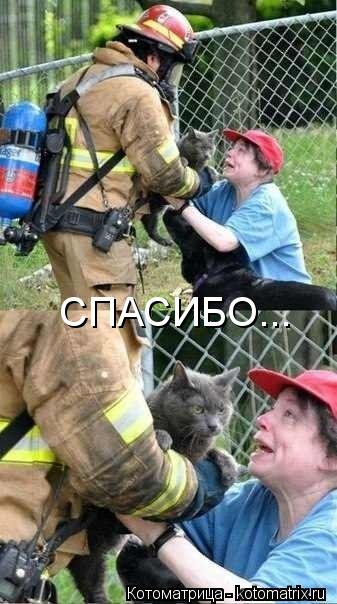 СПАСИБО...... Котоматрица: СПАСИБО...