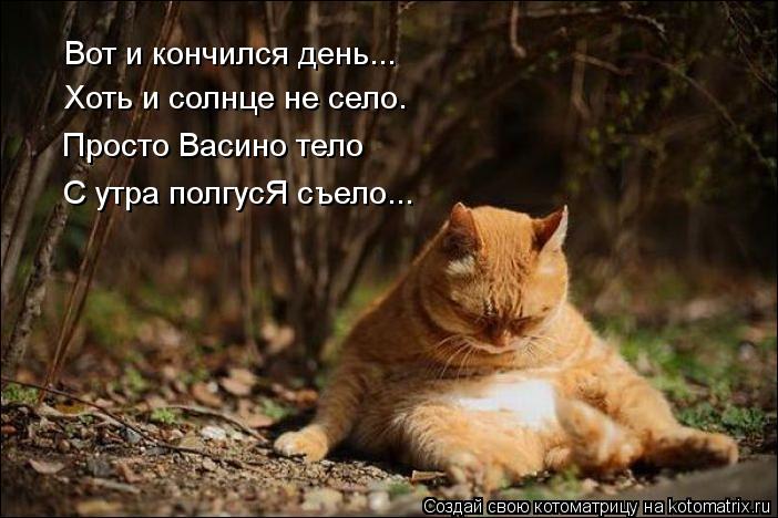 Вот и кончился день... Хоть и солнце не село. Просто Васино тело С утра полгусЯ съело...... Котоматрица: Вот и кончился день... Хоть и солнце не село. Просто Васино тело С утра полгусЯ съело...