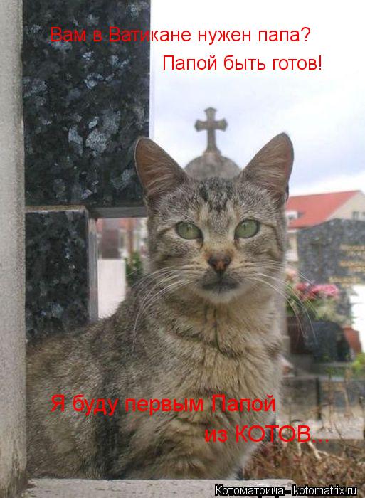 Котоматрица: Вам в Ватикане нужен папа? Папой быть готов! Я буду первым Папой  из КОТОВ...