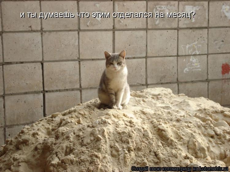 и ты думаешь что этим отделался на месяц?... Котоматрица: и ты думаешь что этим отделался на месяц?
