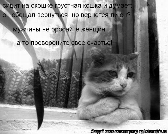сидит на окошке грустная кошка и думает: он обещал вернуться! но вернётся ли он? мужчины не бросайте ... Котоматрица: сидит на окошке грустная кошка и думает: он обещал вернуться! но вернётся ли он? мужчины не бросайте женщин! а то провороните своё счастье!