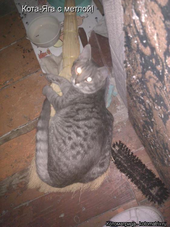 Кота-Яга с метлой!... Котоматрица: Кота-Яга с метлой!