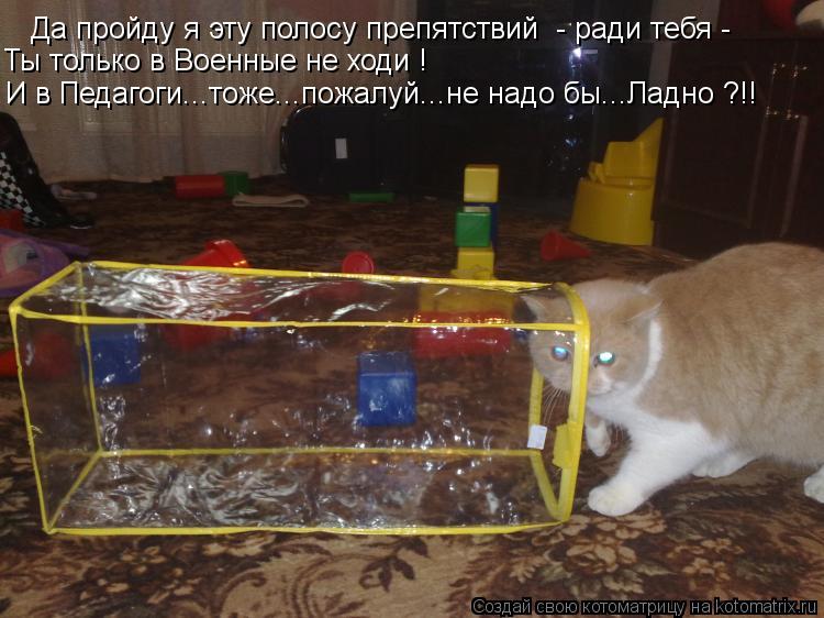 Да пройду я эту полосу препятствий - ради тебя - Ты только в Военные не ходи ! И в Педагоги...тоже..... Котоматрица: Да пройду я эту полосу препятствий - ради тебя - Ты только в Военные не ходи ! И в Педагоги...тоже...пожалуй...не надо бы...Ладно ?!!