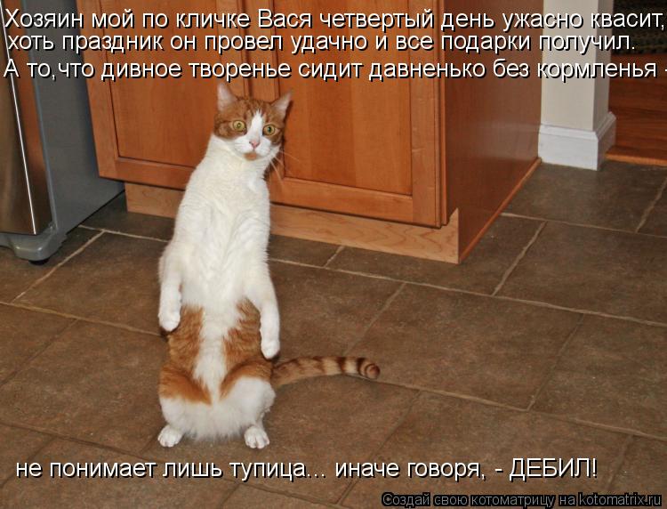Хозяин мой по кличке Вася четвертый день ужасно квасит, хоть праздник он провел удачно и все подарки... Котоматрица: Хозяин мой по кличке Вася четвертый день ужасно квасит, хоть праздник он провел удачно и все подарки получил. А то,что дивное творенье сиди