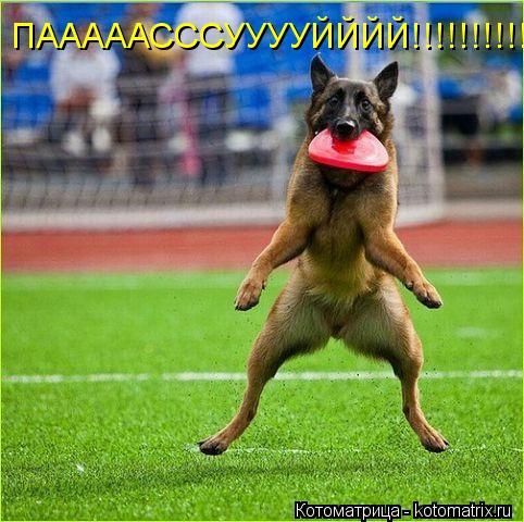 ПАААААСССУУУУЙЙЙЙ!!!!!!!!!!!!!!!!!!!!!!!!!!!!!!!!!... Котоматрица: ПАААААСССУУУУЙЙЙЙ!!!!!!!!!!!!!!!!!!!!!!!!!!!!!!!!!