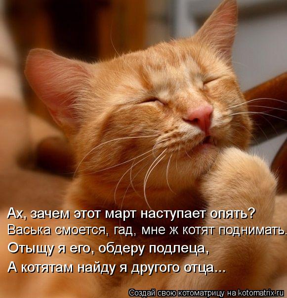 Васька смоется, гад, мне ж котят поднимать. Ах, зачем этот март наступает опять? Отыщу я его, обдеру ... Котоматрица: Васька смоется, гад, мне ж котят поднимать. Ах, зачем этот март наступает опять? Отыщу я его, обдеру подлеца, А котятам найду я другого отца...