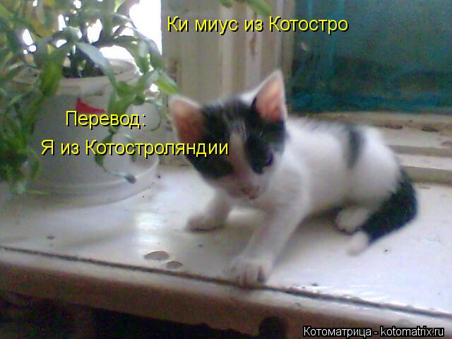 Ки миус из Котостро Перевод: Я из Котостроляндии... Котоматрица: Ки миус из Котостро Перевод: Я из Котостроляндии
