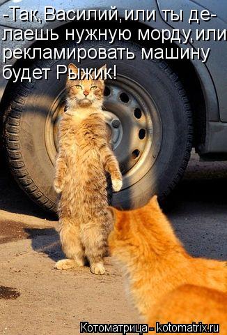 -Так,Василий,или ты де- лаешь нужную морду,или рекламировать машину будет Рыжик!... Котоматрица: -Так,Василий,или ты де- лаешь нужную морду,или рекламировать машину будет Рыжик!
