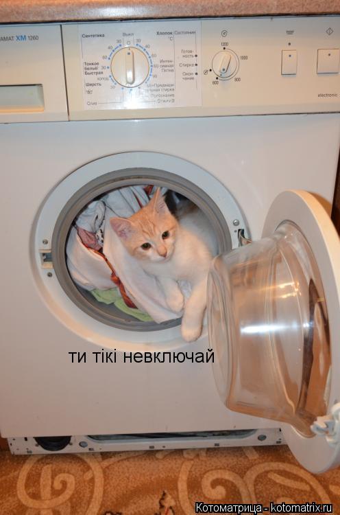 ти тікі невключай... Котоматрица: ти тікі невключай